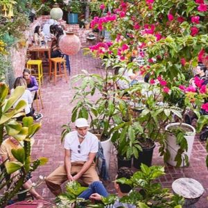 Meet your Posher, Rose